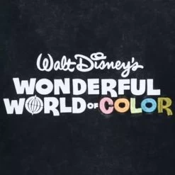 Disney Hoodie For Adults - Disney100 - Walt Disney's Wonderful World Of Color -Wonder Wear Shop 101034203